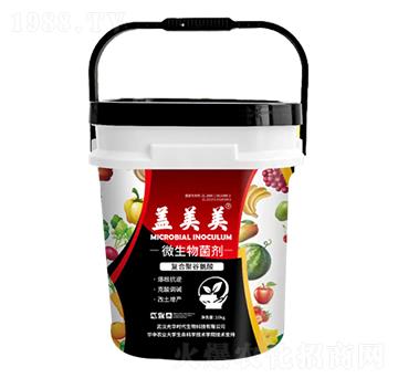 �w����΢�������-���}ͨ