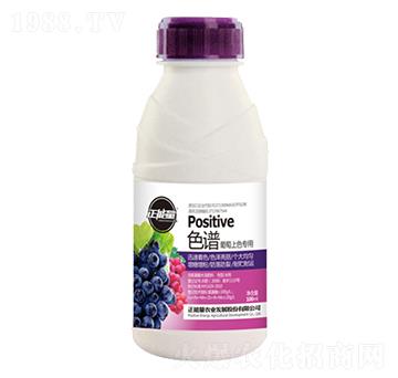 ���ь��������ɫ�`-������