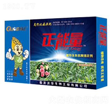 花卉苗木專用塑形生長(zhǎng)抗病強(qiáng)壯劑-正能量