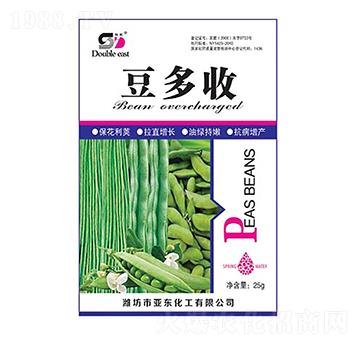 ������-���|����