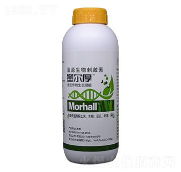 ī���񣨺����~��ʣ�-�꾧��