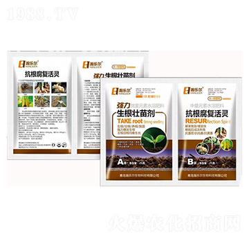 �����������焩+������