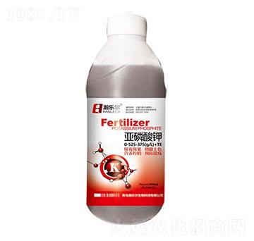 �������-嫘���