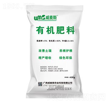 �ЙC����-����˹