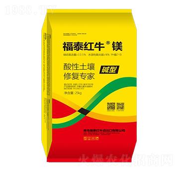 ���������ޏ�(f��)����-��̩�t�����V