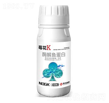 ø���~����-ݮ��K-������
