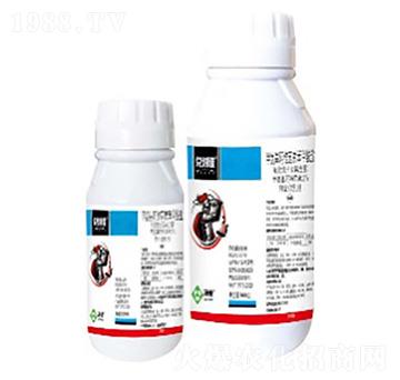 3%�װ������S���ر������}΢�鄩-������-���՘�