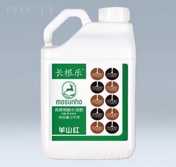 長(zhǎng)根樂含腐植酸水溶肥-草莓圈