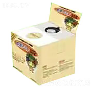 ����-�ѹ�Ӣ