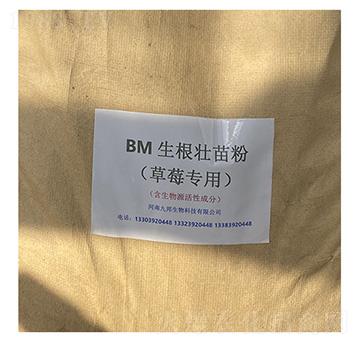 BM�������������ݮ���ã�-�Ű�����