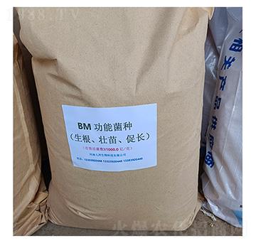 BM����ʹ��ܾ�������������L(zh��ng)��-�Ű�����