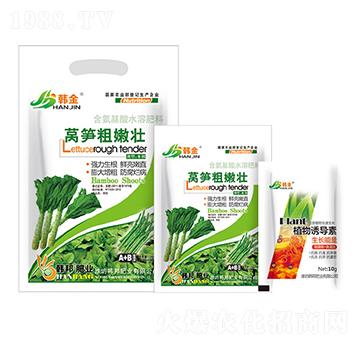 �n�S���ۉ�-�n��-�n��