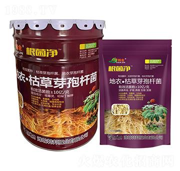 ���¡��ݲ�ѿ�ߗU��-��