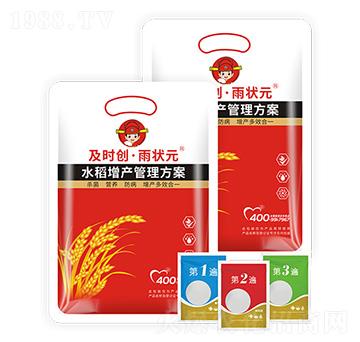 水稻增產(chǎn)管理方案-及時創(chuàng)·雨狀元-及時雨