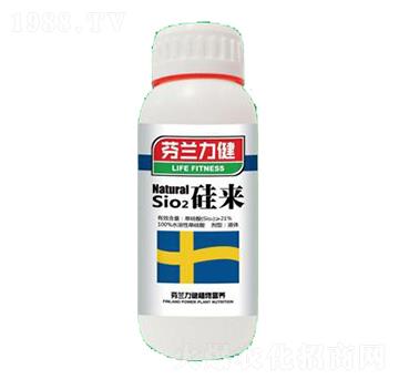 ���(l��i)-����������