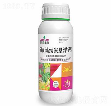 ����{�בҸ��}-�W������