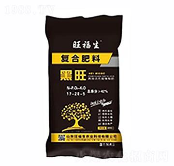 �ͺϷ���-����-������