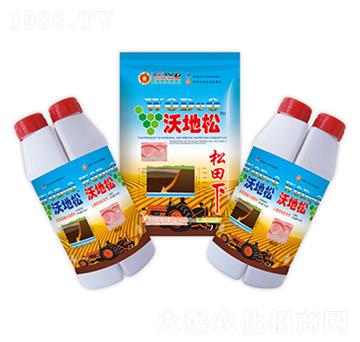 �ֵ���-ʢ������