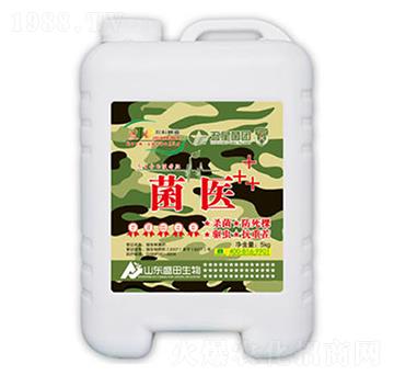 ���t(y��)-ʢ������