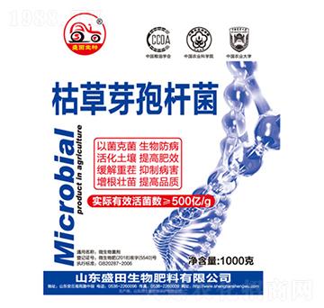 �ݲ�ѿ�ߗU��-ʢ������