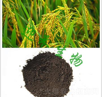 ����÷�-ӭ������