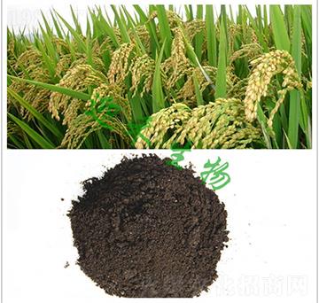 ˮ���ЙC(j��)��-ӭ������