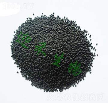 �w���ЙC(j��)�ʣ�С����-ӭ������