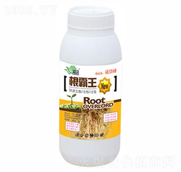 ������-������