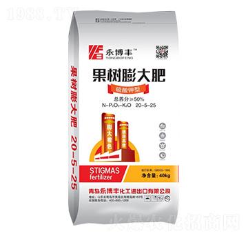 ������͹�������20-5-25-�����S