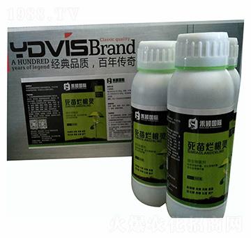 ���砀���`-�̷f����