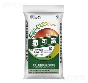 ����һ������׷��24-6-12-���ɸ�-����������