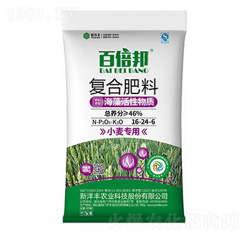 小麥專用海藻活性復合肥料16-24-6-百倍邦-樂開懷