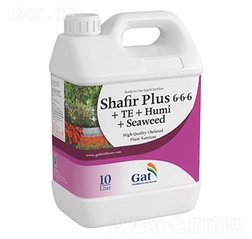 ��ɫ��SHAFIR-P