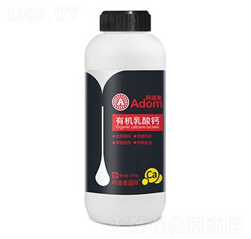 �ЙC�����}-������