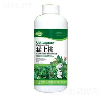 1000g������ƿ�b�~���-�sҫ�r(n��ng)�I(y��)