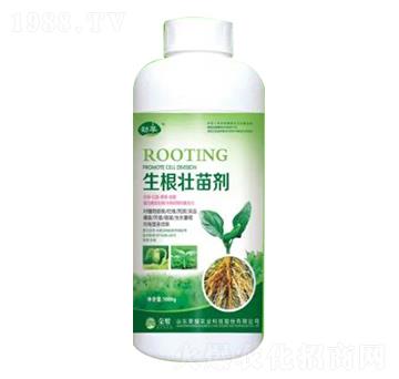 1000g�������焩-�sҫ�r�I(y��)