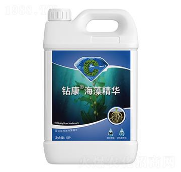 �@�����徫�A-��ţ�r(n��ng)�I(y��)