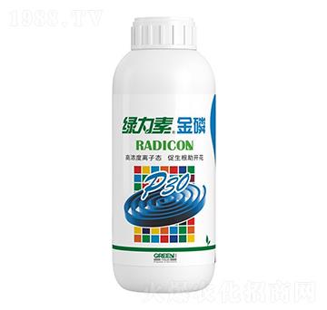 �G������-��ţ�r(n��ng)�I(y��)