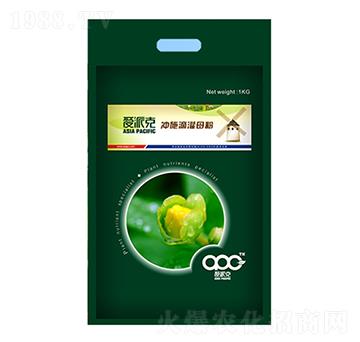 �_ʩ�ι�ĸ��-���ɿ�