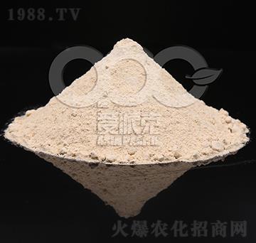 0.1%�|̦�؃���-���ɿ�