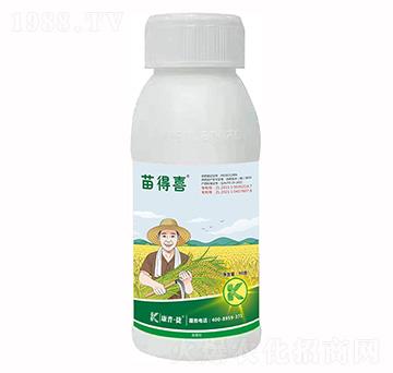 ���݄�-���ϲ-���ս�