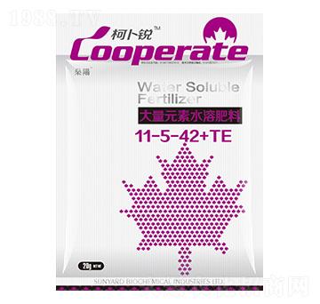大量元素水溶肥料11-5-42+TE-柯卜銳-燊陽化工
