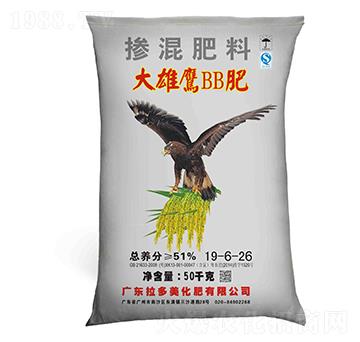 �������19-6-26-������BB��-������