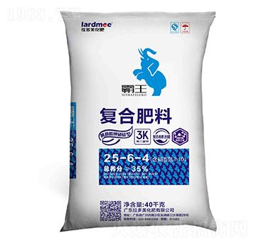 �����͏�(f��)�Ϸ���25-6-4-����-������