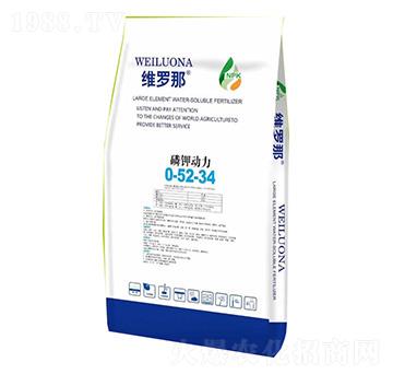 ��⛄���0-52-34-�S�_��-������