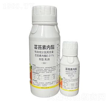 �|̦�؃�(n��i)��-��������