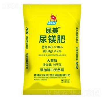 ���w�����V��-����-����}�r(n��ng)�I(y��)