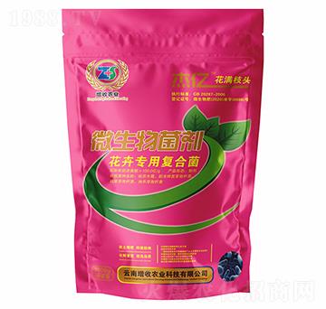 ���܌��Ï�(f��)�Ͼ�-�܃|���M֦�^-�����r(n��ng)�I(y��)