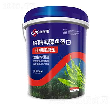 壯根膨果型碳酶海藻魚蛋白-施?？? width=
