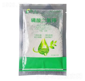 ��������-����ֲ��